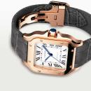 Cartier Santos de Cartier - Bild 4