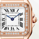 Cartier Panthère de Cartier - Bild 6