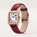 Cartier Santos-Dumont - Bild 2