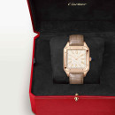 Cartier Santos-Dumont - Bild 7