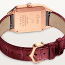 Cartier Santos-Dumont - Bild 5