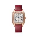 Cartier Santos-Dumont - Bild 2