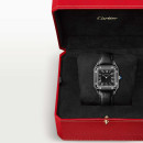 Cartier Santos-Dumont - Bild 7