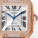 Cartier Santos de Cartier - Bild 8