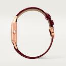 Cartier Santos-Dumont - Bild 4