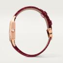Cartier Santos-Dumont - Bild 3