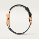 Cartier Santos-Dumont - Bild 3