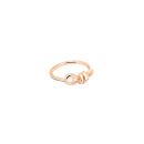 DoDo Ring Nodo - Bild 2
