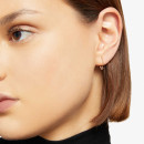 DoDo Creole Essentials - Bild 3