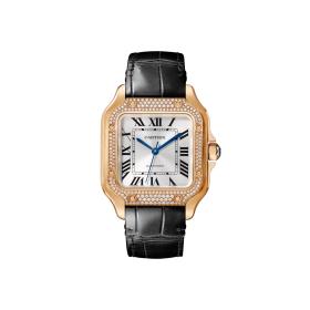 Unisex, Cartier Santos de Cartier WJSA0012