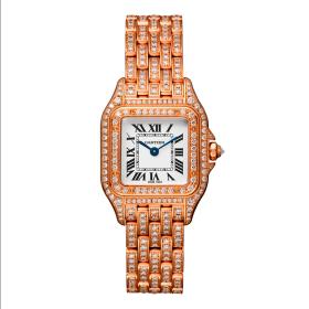 Cartier Panthère de Cartier HPI01131