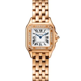 Cartier Panthère de Cartier WJPN0049