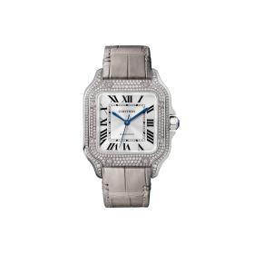 Cartier Santos de Cartier WJSA0014