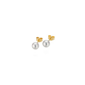 Gelbgold, Ohrringe, Gellner Basics Ohrstecker 5-23683-01