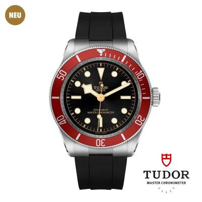 TUDOR - Black Bay