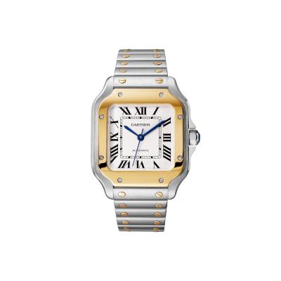 Cartier - Santos de Cartier