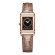 Jaeger-LeCoultre Reverso Classic Duetto - Bild 2
