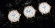 Glashütte Original Senator Excellence 
Panoramadatum Mondphase - Bild 2