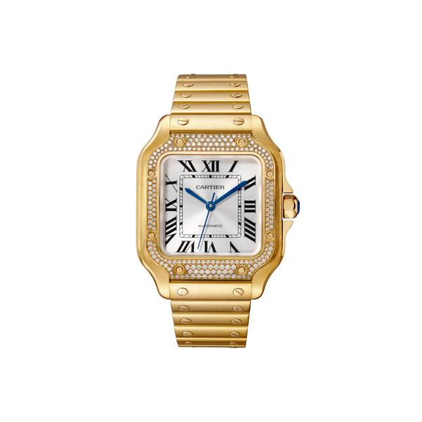 Unisex, Cartier Santos de Cartier