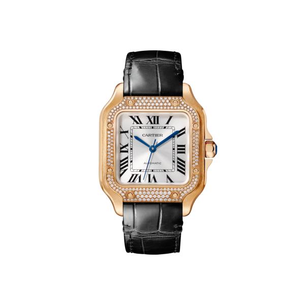 Unisex, Cartier Santos de Cartier