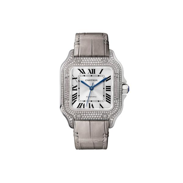 Unisex, Cartier Santos de Cartier