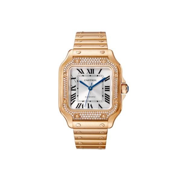 Unisex, Cartier Santos de Cartier