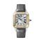 Leder, Gelbgold, Silber
