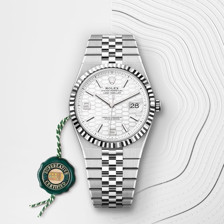 Rolex Land-Dweller 40 127334 Herrenuhr Bild 4