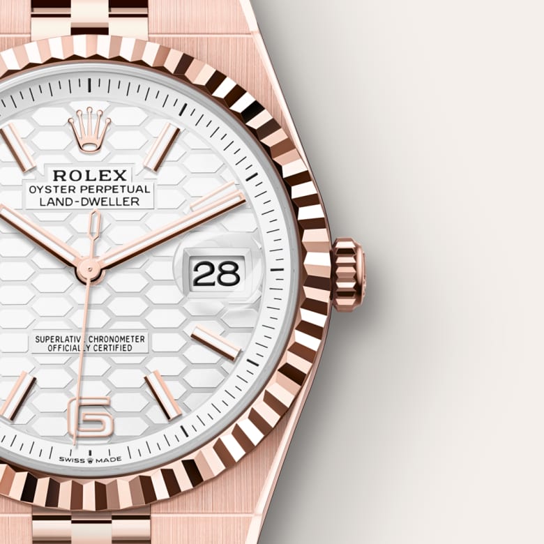 Rolex Land-Dweller 40 127335 Herrenuhr Bild 5