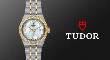 Tudor Banner 2023 03 08T141916.193 (1)