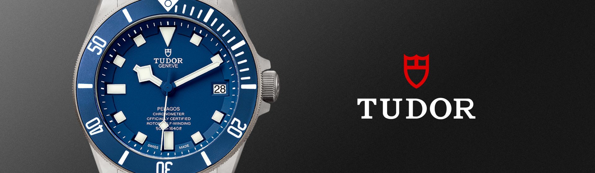 Tudor-banner - 2023-03-08T141312.283 (1)