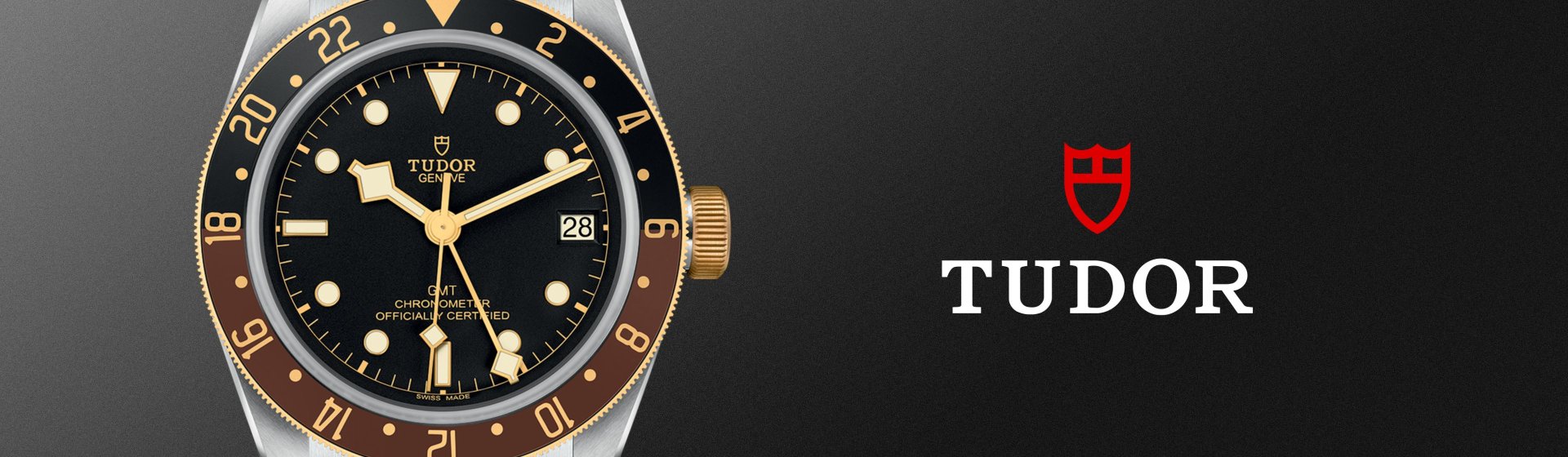 Tudor-banner - 2023-03-08T115200.135 (1)