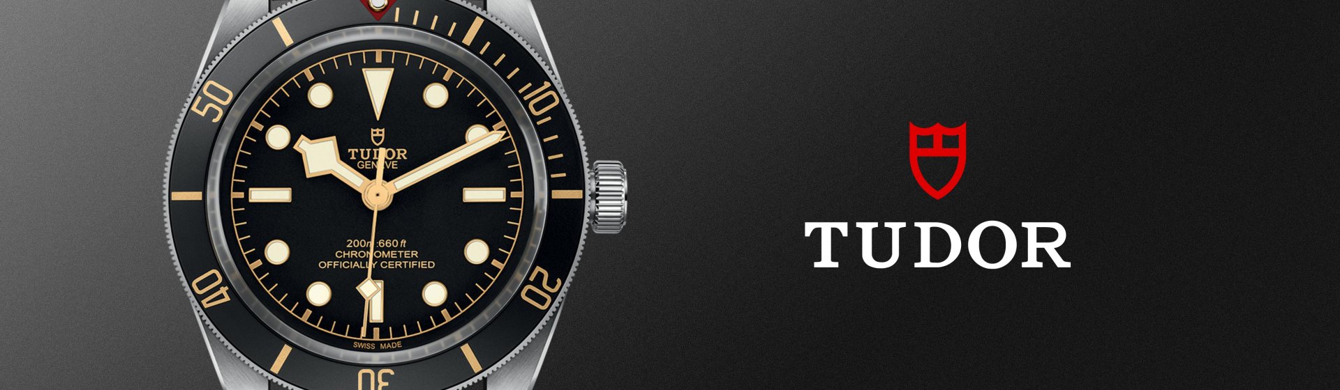 Tudor-banner - 2023-03-08T120051.462 (1)