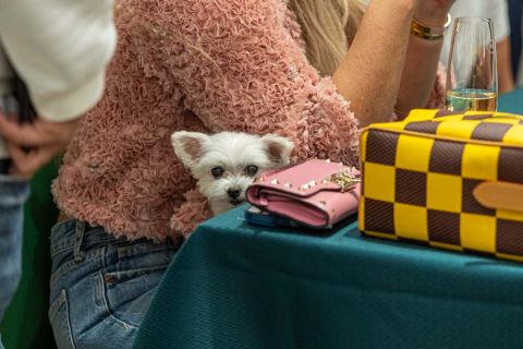 Gerald Asamoah Stiftung- UnoTurnier-Juwelier-Weber-132