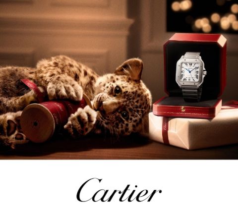 cartier-banner-mobil-640x592px cartier-banner-mobil-640x592px