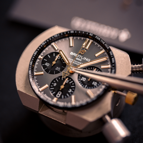 1x1 N7A0587 (TRIUMPH LOGO)