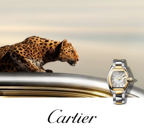 cartier-banner-mobil-640x592