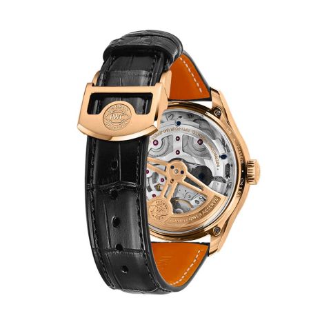 IWC-Perpetual Cal -9